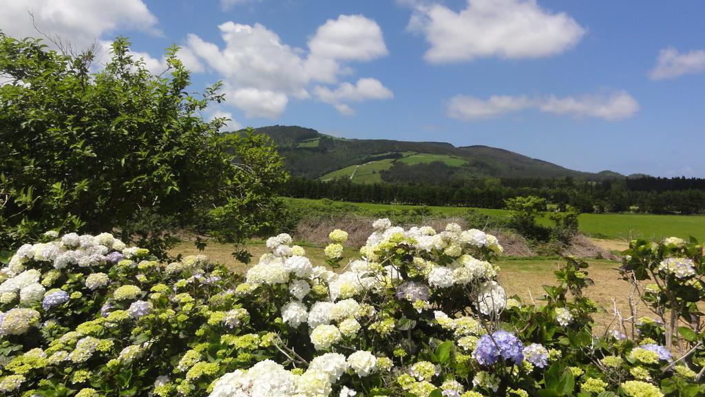 Quinta Do Chico Feijao Villa ลาเจส ห้อง รูปภาพ